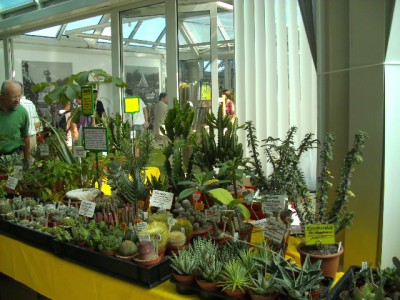 PICT0081.JPG