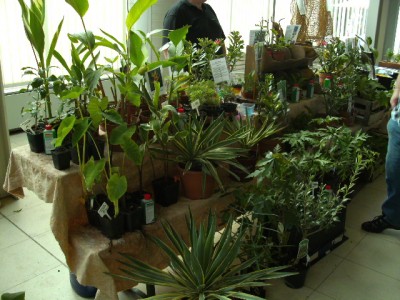 PICT0067.JPG