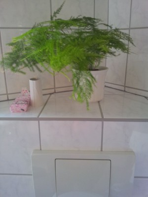 20120909_101156.jpg