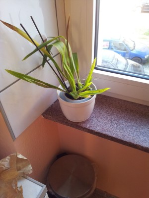 20120909_101140.jpg