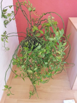 20120909_101056.jpg