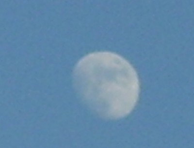 blub 010.jpg