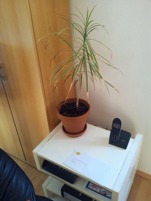20120909_101017.jpg