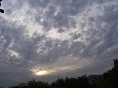 neu 015.jpg