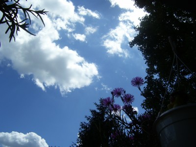 100_3334.JPG