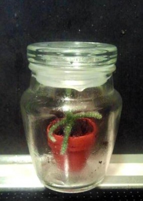 2012-09-12 00.36.04.jpg