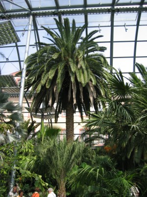 IMG_8943.JPG