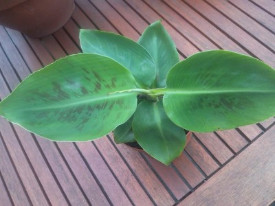 2012-09-13 18.00.58.jpg