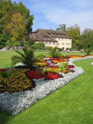 IMG_8945.JPG