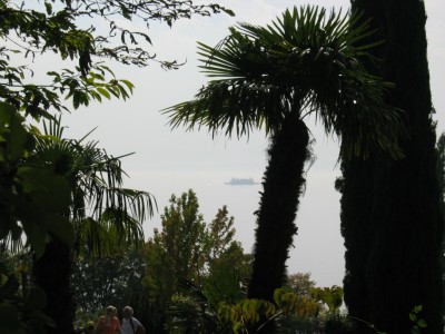 IMG_8895.JPG