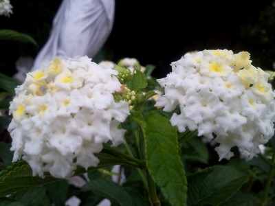2012-09-14 16.44.28.jpg
