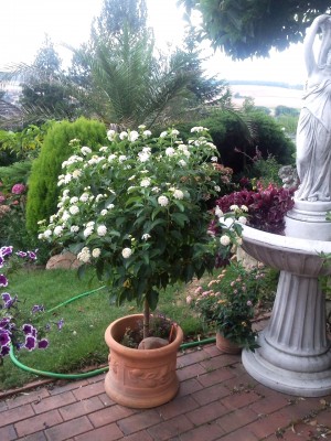 2012-09-14 16.43.52.jpg