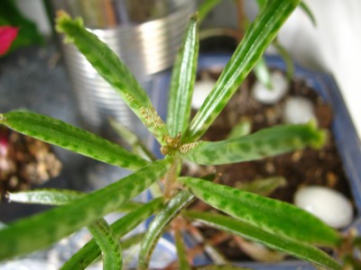 IMG_8457 (1728 x 1296).jpg