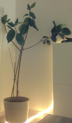 2012-09-17_20-01-22_726 (3).jpg