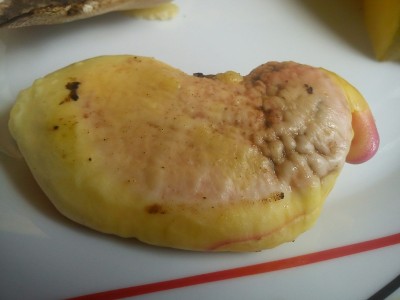 Mango auch 0ter Tag.jpg