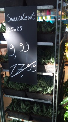 2012-09-19 10.35.15.jpg