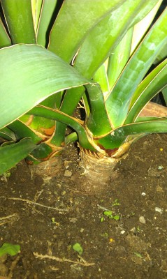 IMAG0356.jpg