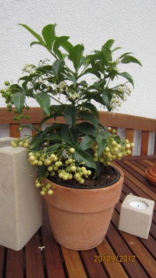 IMG_1580.jpg