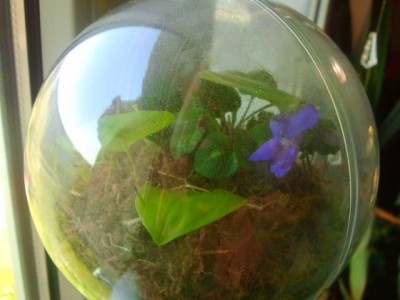 2012-05-02 12.34.44 - Kopie.jpg