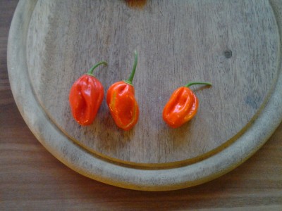 20120918_185736.jpg