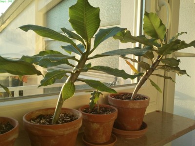 2012-09-15 19.03.32-s.jpg