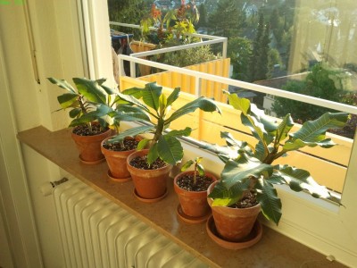 2012-09-15 19.02.47-s.jpg