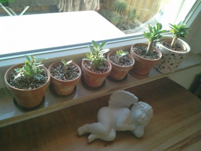 2012-09-15 19.02.04-s.jpg