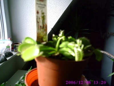 PIC00197 mit Pfeil.JPG