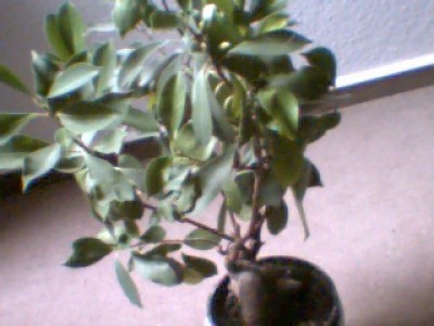 Picture 14.jpg
