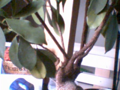 Picture 13.jpg