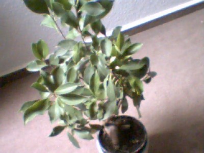 Picture 15.jpg