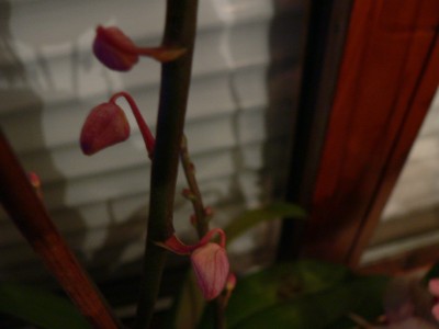 P1020322.JPG