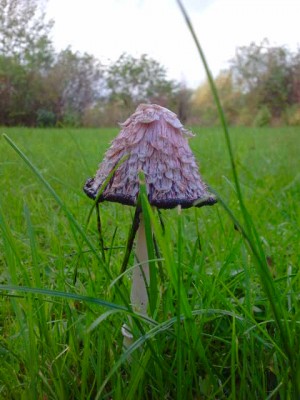 2012-09-27 13.04.34.jpg