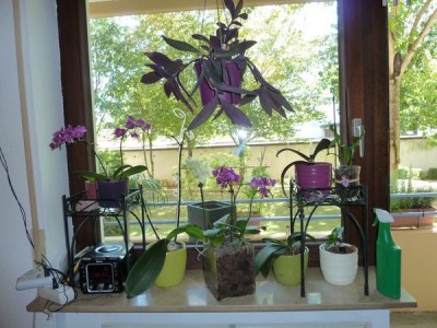 file-1.jpg