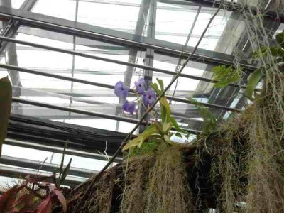 2012-09-29 13.28.31.jpg