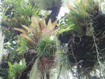 2012-09-29 13.30.02.jpg