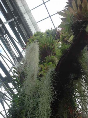 2012-09-29 13.27.25.jpg