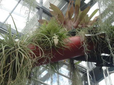 2012-09-29 13.28.57.jpg