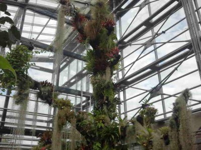 2012-09-29 13.22.10.jpg