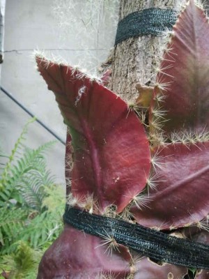 2012-09-29 13.23.08.jpg