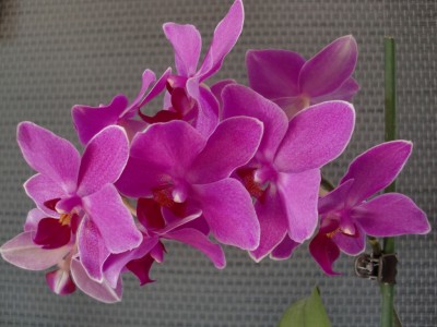 TableDance #1-14.jpg