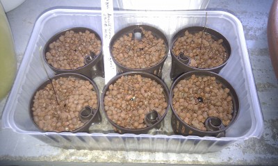 2012-10-01 17.58.06.jpg