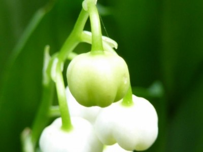 20120517 008 - Kopie (640x480).jpg