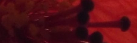 raetselraten leicht gemacht.jpg