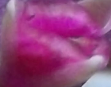 raetselraten leicht gemacht II.jpg