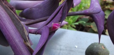 raetselraten leicht gemacht III.JPG