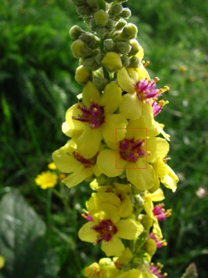 Rätselauflösung (1296 x 1728).jpg