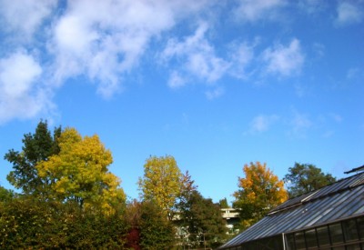 Schönes Wetter in Bochum.JPG