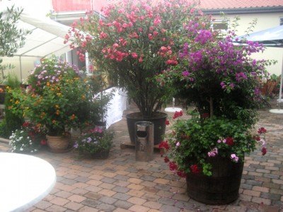 Biergarten.JPG