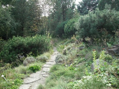 DSCF0127.JPG